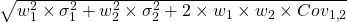  \sqrt{w_1^2 \times \sigma_1^2 + w_2^2 \times \sigma_2^2 + 2 \times w_1 \times w_2 \times Cov_{1,2}}